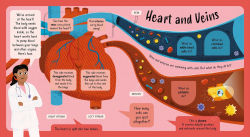 Alternative view 3 of Lift-the-Flap Human Body Adventure: with Over 50 Flaps