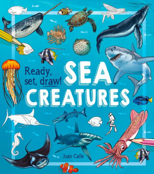 Ready, Set, Draw! Sea Creatures