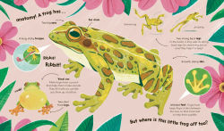 Alternative view 2 of Watch Me Grow: Frogs