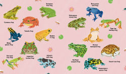 Alternative view 3 of Watch Me Grow: Frogs