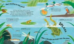 Alternative view 4 of Watch Me Grow: Frogs