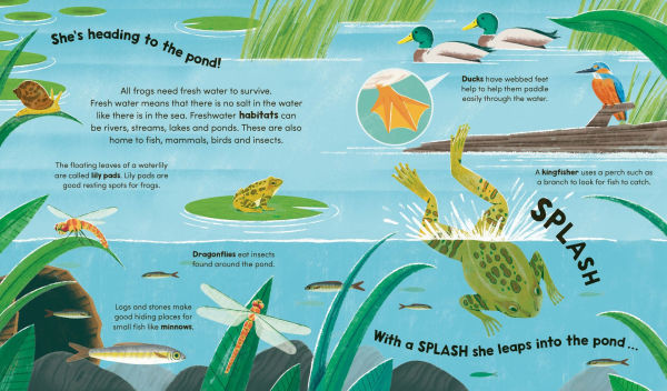 Watch Me Grow: Frogs
