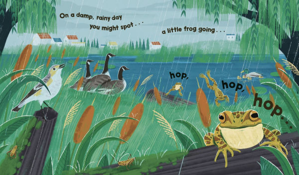 Watch Me Grow: Frogs