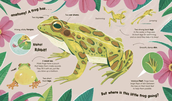 Watch Me Grow: Frogs