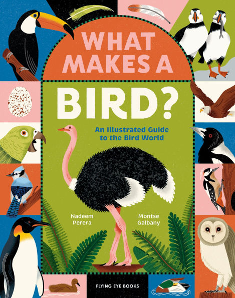 What Makes a Bird?