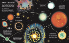 Alternative view 6 of Wish Upon a Star: The Science, Magic and Meaning of Stars (library edition)