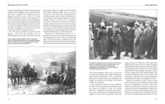Alternative view 2 of The Eastern Front 1914-1920