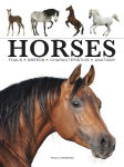 Alternative view 1 of Horses