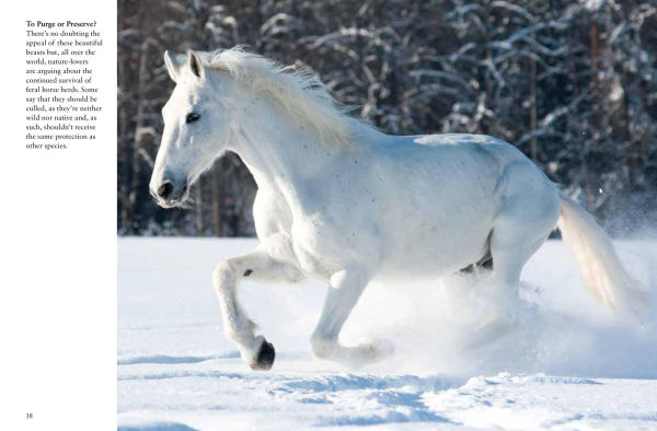 Horses
