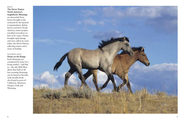 Horses