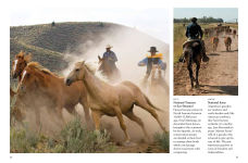 Alternative view 9 of Horses