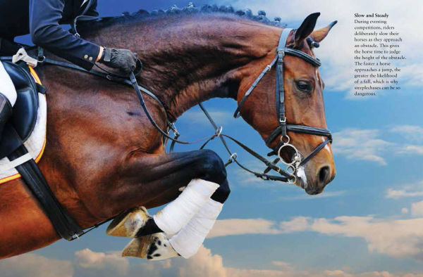 Horses