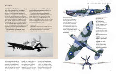 Alternative view 9 of Spitfire