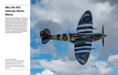 Alternative view 10 of Spitfire