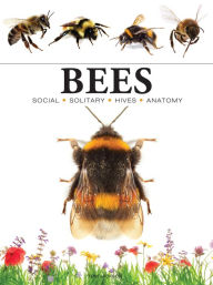 Title: Bees, Author: Tom Jackson