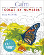 Calm Color by Numbers Large Print