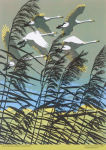 Alternative view 3 of Adult Jigsaw Puzzle Robert Gillmor: Swans Flying over the Reeds (500 pieces): 500-Piece Jigsaw Puzzles