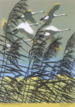 Alternative view 4 of Adult Jigsaw Puzzle Robert Gillmor: Swans Flying over the Reeds (500 pieces): 500-Piece Jigsaw Puzzles