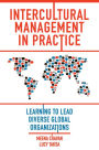 Intercultural Management in Practice: Learning to Lead Diverse Global Organizations