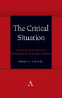 The Critical Situation: Vexed Perspectives in Postmodern Literary Studies