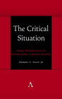 The Critical Situation: Vexed Perspectives in Postmodern Literary Studies