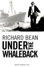 Under the Whaleback