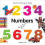 My First Bilingual Book-Numbers (English-Urdu)