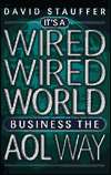 Big Shots,Business the Aol Way: Secrets of the World's Number 1 WebMaster
