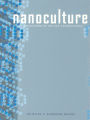 Nanoculture: Implications of the New Technoscience