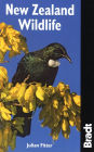 New Zealand Wildlife