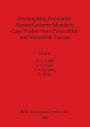 Investigating Prehistoric Hunter-Gatherer Identities: Case Studies from Paleolithic and Mesolithic Europe. Bar 1411.