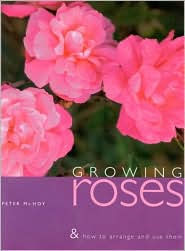 Growing Roses and How to Arrange and Use Them