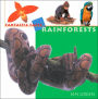 Rainforests