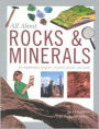Rocks and Minerals