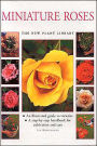 Miniature Roses