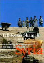 Tell Kosak Shamali Vol II: The Archaeological Investigations on the Upper Euphrates, Syria. Chalcolithic Technology and Subsistence