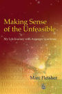 Making Sense of the Unfeasible