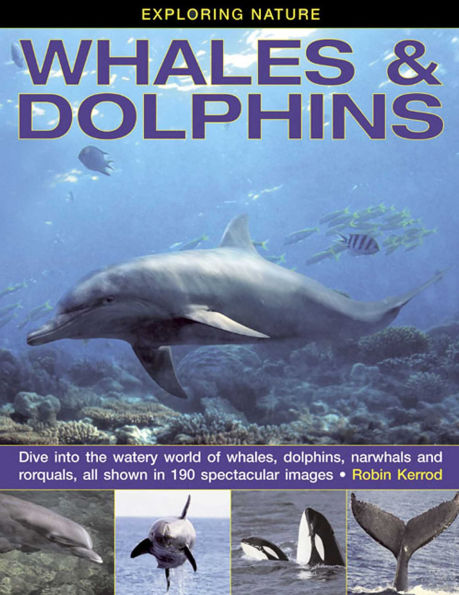 Whales & Dolphins: Dive Into the Watery World of Whales, Dolphins, Narwhals and Rorquals, All Shown in 190 Spectacular Images