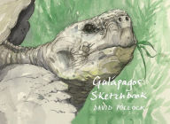 Title: A Galápagos Sketchbook, Author: David Pollock