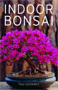 Indoor Bonsai