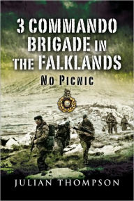 3 COMMANDO BRIGADE IN THE FALKLANDS: No Picnic
