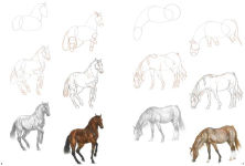 Alternative view 2 of How to Draw Horses in Simple Steps