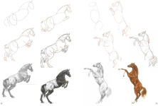 Alternative view 4 of How to Draw Horses in Simple Steps