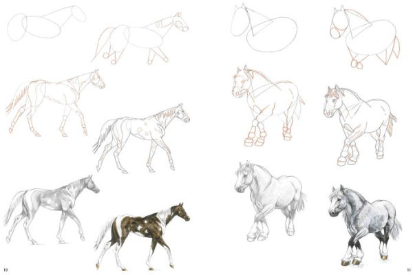 How to Draw Horses in Simple Steps