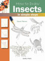 How to Draw Insects in Simple Steps
