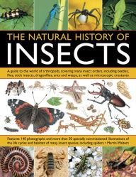 Title: The Natural History Of Insects: A Guide to the World of Arthropods, Covering Many Insect Orders, Including Beetles, Flies, Stick Insects, Dragonflies, Ants and Wasps, as well as Microscopic Creatures, Author: Martin Walters