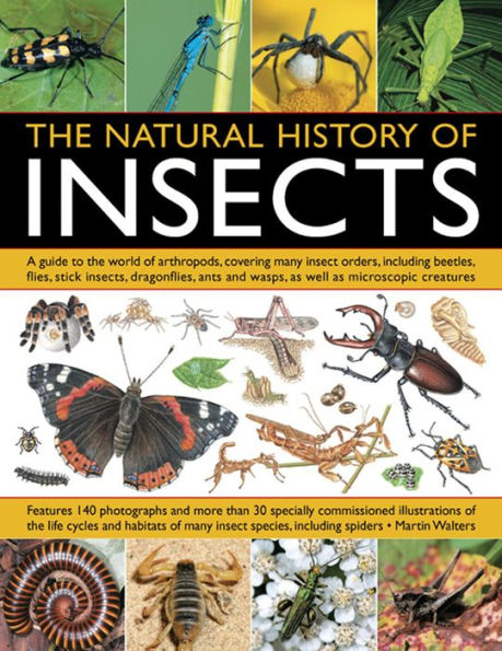 The Natural History Of Insects: A Guide to the World of Arthropods, Covering Many Insect Orders, Including Beetles, Flies, Stick Insects, Dragonflies, Ants and Wasps, as well as Microscopic Creatures