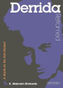 Derrida Reframed: Interpreting Key Thinkers for the Arts