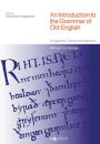An Introduction to the Grammar of Old English: A Systemic Functional Approach / Edition 1