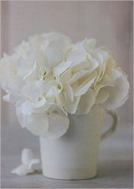 Jane Packer Classic Notecards